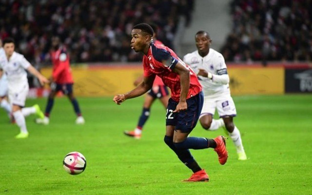 与赔率闪变 与赔率闪变